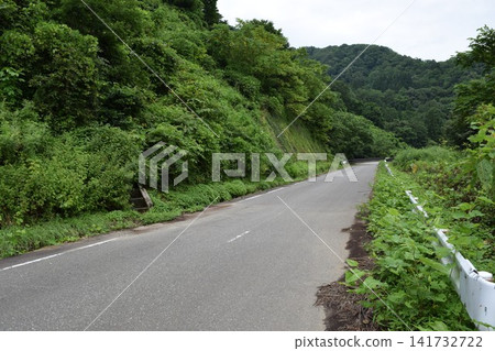 Mountain road Shonai, Yamagata Prefecture Mountain road Shonai, Yamagata Prefecture 141732722