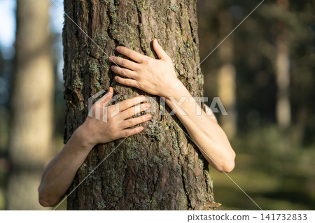Hands embracing bark of tree, connection to nature. Human forest bond, protection and care of forest Hands embracing bark of tree, connection to nature. Human forest bond, protection and care of forest 141732833