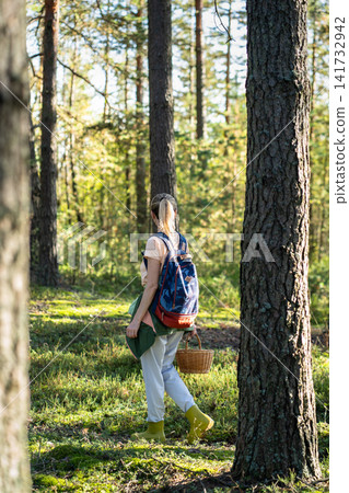 Woman searcher foraging in nature, walking in autumn forest with basket harvesting mushrooms Woman searcher foraging in nature, walking in autumn forest with basket harvesting mushrooms 141732942