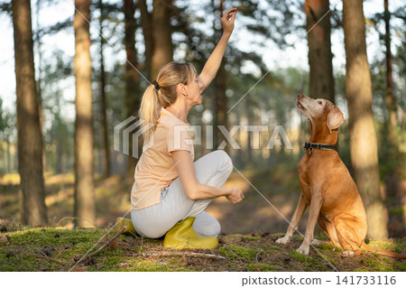 Positive woman pet owner providing obedience training for beloved Vizsla dog outdoors in forest. Positive woman pet owner providing obedience training for beloved Vizsla dog outdoors in forest. 141733116
