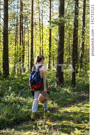 Gathering edibles in forest, woman forager walking through woodlands with basket searching for food. Gathering edibles in forest, woman forager walking through woodlands with basket searching for food. 141733121