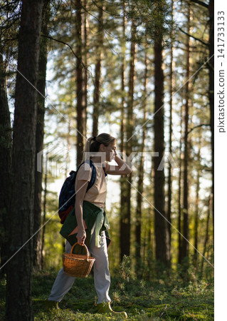 Woman searcher foraging in nature, walking in forest with basket harvesting mushrooms and plants. Woman searcher foraging in nature, walking in forest with basket harvesting mushrooms and plants. 141733133