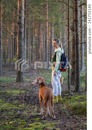 Relaxed woman forager walking in forest together with dog collecting mushrooms and exploring nature. Relaxed woman forager walking in forest together with dog collecting mushrooms and exploring nature. 141733140