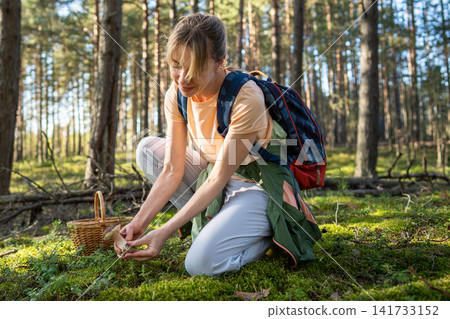 Smiling woman forager taking big edible Boletus edulis mushroom from ground in marshy forest. Smiling woman forager taking big edible Boletus edulis mushroom from ground in marshy forest. 141733152