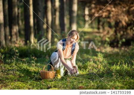Smiling woman mushroom picker sitting at pine forest meadow gathering edible summer Boletus edulis. 141733199