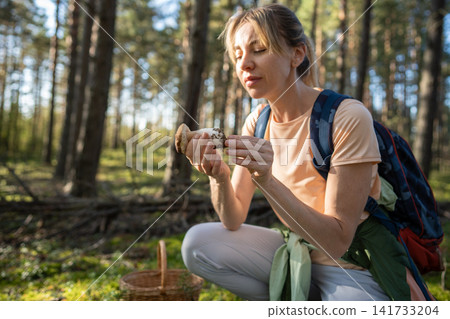 Positive woman harvester picking Boletus mushrooms in woodlands, seasonal natural food harvesting. Positive woman harvester picking Boletus mushrooms in woodlands, seasonal natural food harvesting. 141733204