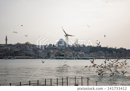 Flocks of birds fly over the Bosphorus at dusk with the silhouette of a mosque and a bridge in the misty distance in Istanbul, Turkey, a moody seascape. Flocks of birds fly over the Bosphorus at dusk with the silhouette of a mosque and a bridge in the misty distance in Istanbul, Turkey, a moody seascape. 141733412