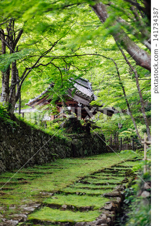[滋賀縣東近江市] 百齋寺：苔蘚覆蓋的大門和新鮮的綠植，景色令人驚嘆。 141734387