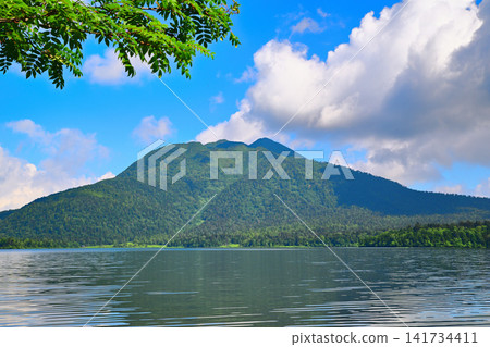 Ozenuma Lake and Mount Hiuchigatake: A summer scene under a dazzling blue sky. Ozenuma Lake and Mount Hiuchigatake: A summer scene under a dazzling blue sky. 141734411