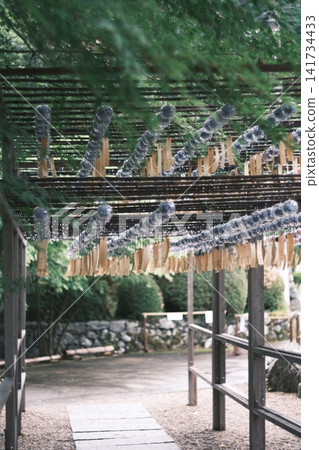 在Kasushoin的Windbell節日 在Kasushoin的Windbell節日 141734433