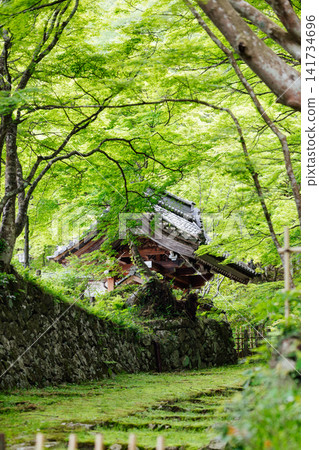 [滋賀縣東近江市] 百齋寺：苔蘚覆蓋的大門和新鮮的綠植，景色令人驚嘆。 141734696