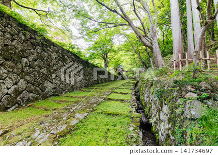 [滋賀縣東近江市] 百齋寺：苔蘚覆蓋的大門和新鮮的綠植，景色令人驚嘆。 141734697