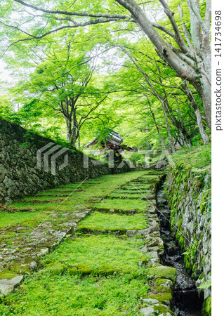 [滋賀縣東近江市] 百齋寺：苔蘚覆蓋的大門和新鮮的綠植，景色令人驚嘆。 141734698