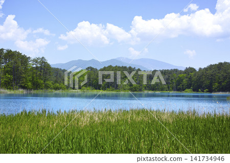 Benten Pond, part of the Goshikinuma Lakes Group in Urabandai, Fukushima Prefecture Benten Pond, part of the Goshikinuma Lakes Group in Urabandai, Fukushima Prefecture 141734946