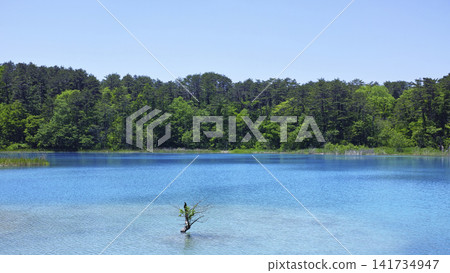 Benten Pond, part of the Goshikinuma Lakes Group in Urabandai, Fukushima Prefecture Benten Pond, part of the Goshikinuma Lakes Group in Urabandai, Fukushima Prefecture 141734947