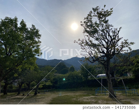 清晨的陽光照亮了靜謐的公園和山脈。 清晨的陽光照亮了靜謐的公園和山脈。 141735086