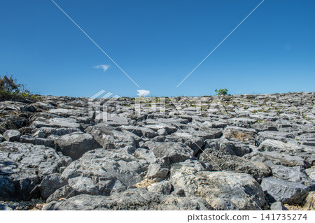 Beach at 21st Century Forest Park in Nago City, Okinawa Prefecture 141735274