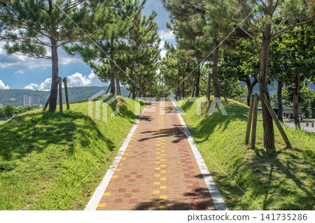 Okinawa Prefecture Nago City 21st Century Forest Park Okinawa Prefecture Nago City 21st Century Forest Park 141735286