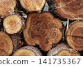 A cross-section of a log showing many tree rings. 141735367