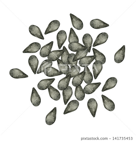 黑芝麻能量食品 - 水彩插圖 141735453