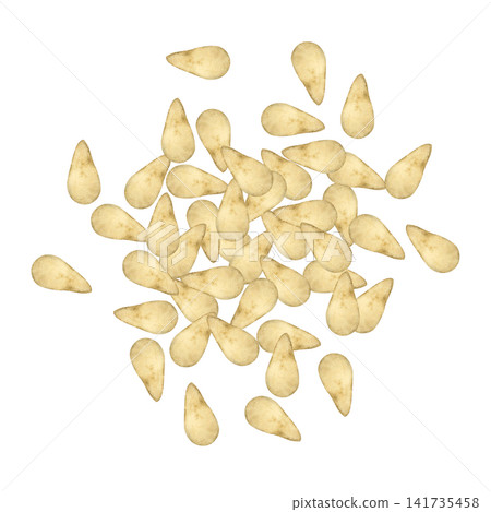 白芝麻——能量食品——水彩插畫 白芝麻——能量食品——水彩插畫 141735458