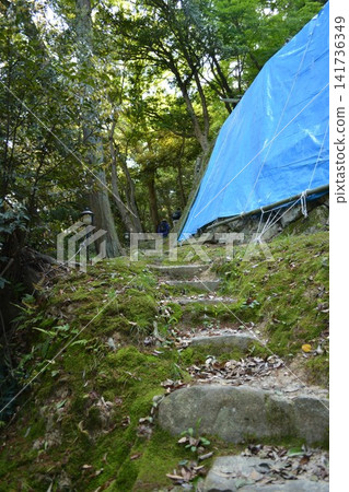 災後，石階長滿了青苔，藍色的防水布遮住地面。 141736349