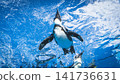 Flying Penguin 141736631