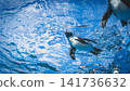 Flying Penguin 141736632