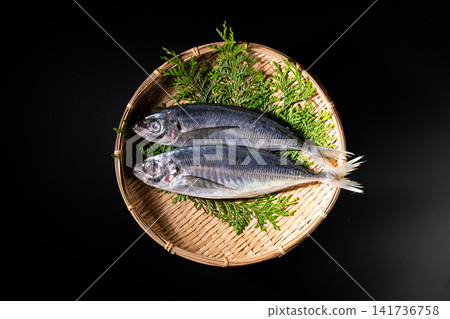 籃子裡的竹莢魚 籃子裡的竹莢魚 141736758