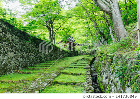 [Higashiomi City, Shiga Prefecture] Hyakusaiji Temple: A stunning view of the moss-covered main gate and fresh greenery. 141736849
