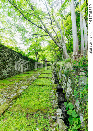 [滋賀縣東近江市] 百齋寺：苔蘚覆蓋的大門和新鮮的綠植，景色令人驚嘆。 141736850