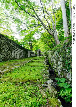 [Higashiomi City, Shiga Prefecture] Hyakusaiji Temple: A stunning view of the moss-covered main gate and fresh greenery. 141736852