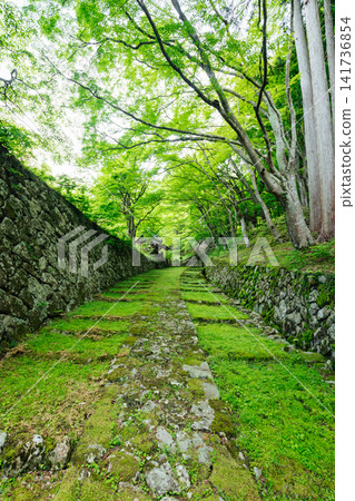 [滋賀縣東近江市] 百齋寺：苔蘚覆蓋的大門和新鮮的綠植，景色令人驚嘆。 141736854