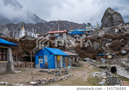 Kyanjin Gompa village in Langtang national park, Nepal. It is located in the Rasuwa district of Nepal, deep inside Langtang National Park, near the Tibetan border. 141736888
