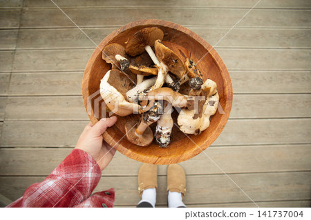 Person showcases collection of wild mushrooms in natural setting Person showcases collection of wild mushrooms in natural setting 141737004