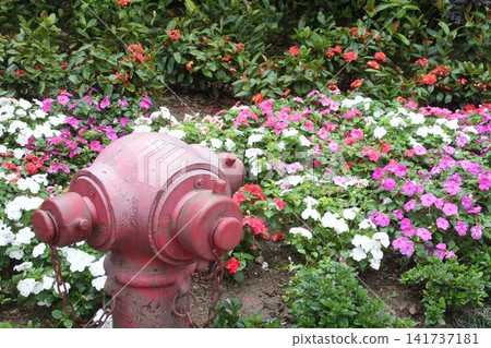 A red fire hydrant blooming in a flower field 141737181
