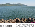 Island floating in the lake 141737472
