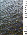 A calm sea 141737477