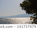 Bench facing the sea 141737479