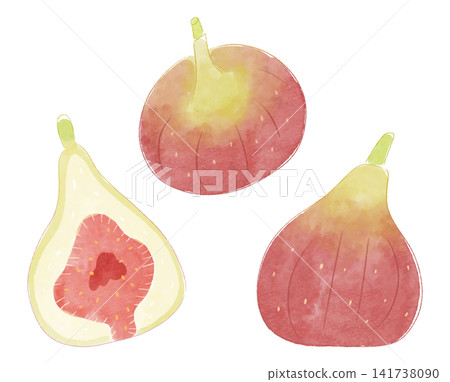 一組輕鬆隨興的水彩風格無花果插圖。 一組輕鬆隨興的水彩風格無花果插圖。 141738090