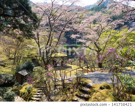 櫻花園 141738421