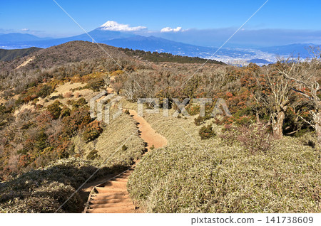 Winter view of Mt. Fuji from the bamboo grass-covered ridge trail of Mt. Kodaruma on the Izu Peninsula's Izu Mountain Ridge Trail Winter view of Mt. Fuji from the bamboo grass-covered ridge trail of Mt. Kodaruma on the Izu Peninsula's Izu Mountain Ridge Trail 141738609