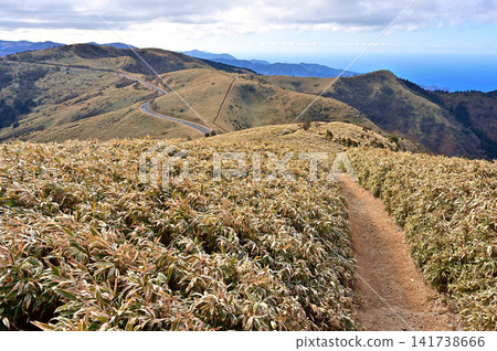 The Izu Mountain Ridge Trail on the Izu Peninsula continues through the bamboo grass fields of Mt. Daruma. The Izu Mountain Ridge Trail on the Izu Peninsula continues through the bamboo grass fields of Mt. Daruma. 141738666