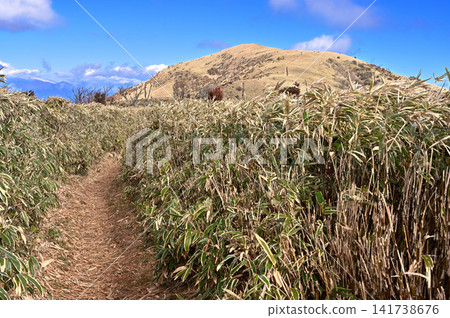 Mount Daruma rises beyond the bamboo grass-covered hiking trail on the Izu mountain ridge trail of the Izu Peninsula. Mount Daruma rises beyond the bamboo grass-covered hiking trail on the Izu mountain ridge trail of the Izu Peninsula. 141738676