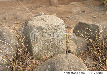 伊豆半島伊豆山脊步道:達摩山頂三角測量點 伊豆半島伊豆山脊步道:達摩山頂三角測量點 141738809