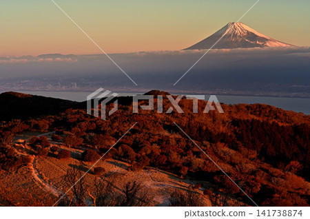 伊豆半島,金冠山位於伊豆山脊步道上,山脊和富士山沐浴在晨光中。 伊豆半島,金冠山位於伊豆山脊步道上,山脊和富士山沐浴在晨光中。 141738874