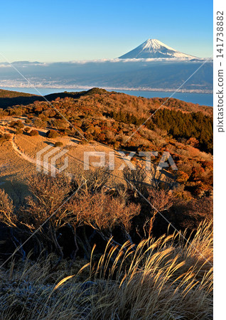 From Mt. Kinkan on the Izu Mountain Ridge Trail in the Izu Peninsula: The mountain ridge and Mt. Fuji bathed in the morning sun. From Mt. Kinkan on the Izu Mountain Ridge Trail in the Izu Peninsula: The mountain ridge and Mt. Fuji bathed in the morning sun. 141738882