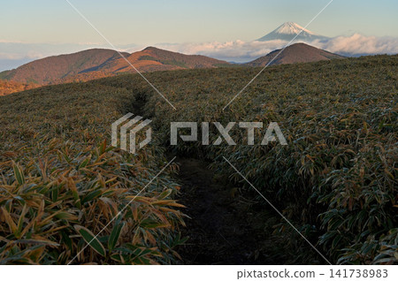 伊豆半島仁名峠展望台:清晨的陽光照耀著伊豆山脊步道和富士山。 伊豆半島仁名峠展望台:清晨的陽光照耀著伊豆山脊步道和富士山。 141738983