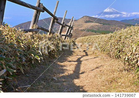 Views of Mt. Fuji and Misoudai from the ridge trail along the pasture at Nishina Pass on the Izu Peninsula. Views of Mt. Fuji and Misoudai from the ridge trail along the pasture at Nishina Pass on the Izu Peninsula. 141739007
