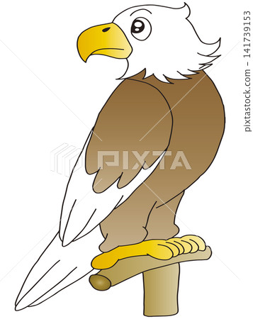 Hand-drawn animal illustration ☆ Bald Eagle Hand-drawn animal illustration ☆ Bald Eagle 141739153